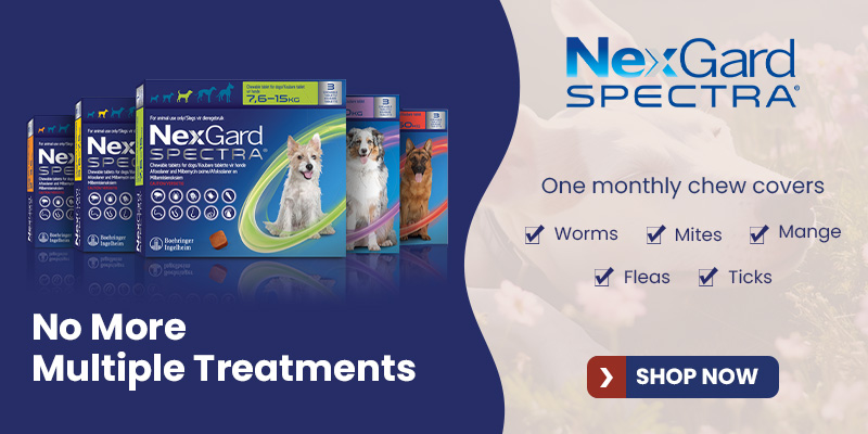 Nexgard Spectra Chewable Tablets for Dogs