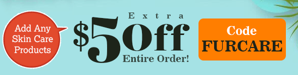 Seasonal Offer Banner