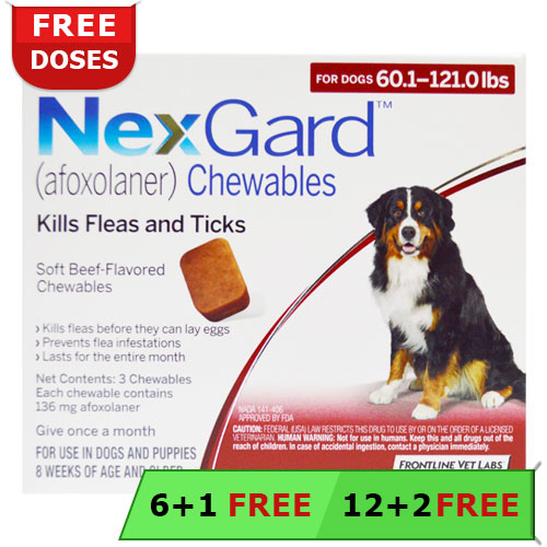 Nexgard for Dogs Buy Nexgard Flea Tick Chewable For Dogs Online
