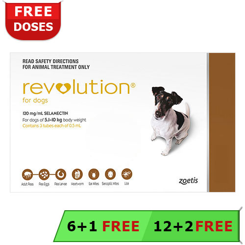 revolution-for-dogs-buy-revolution-online-heartworm-and-flea