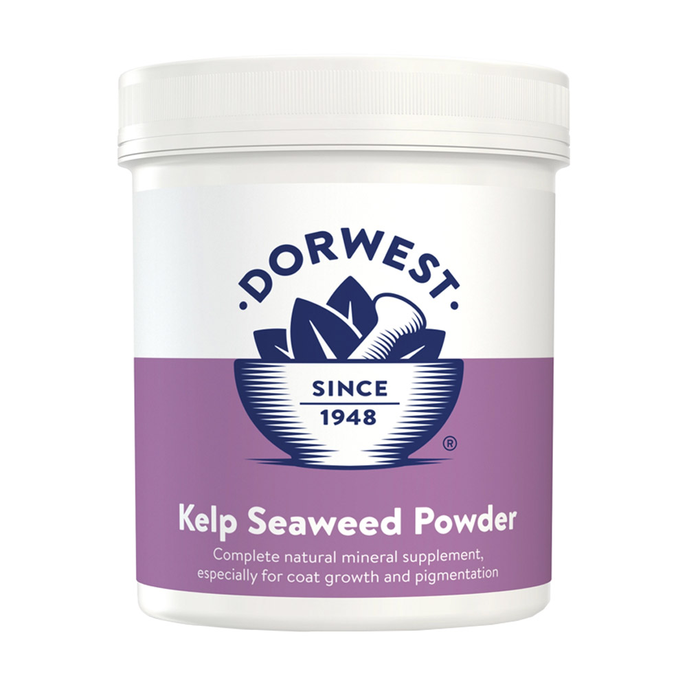 Dorwest Kelp Seaweed Powder For Dogs And Cats 250 Gms-image-2761
