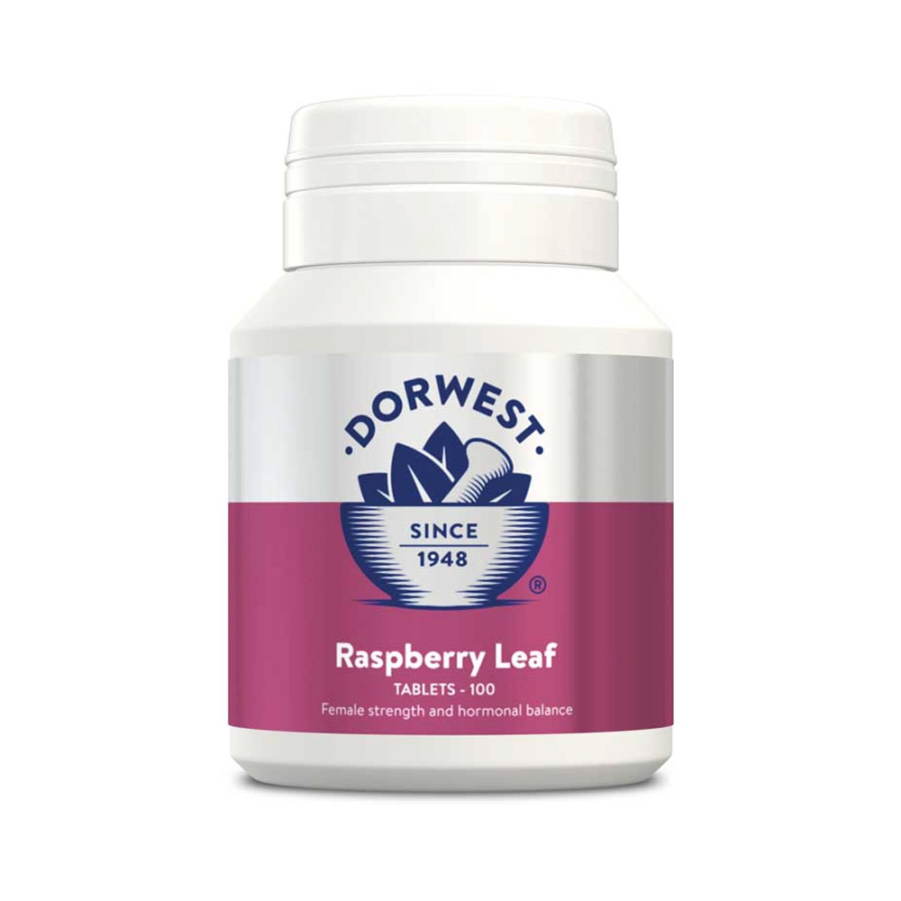 Dorwest Raspberry Leaf Tablets For Dogs And Cats 100 Tablets-image-2734
