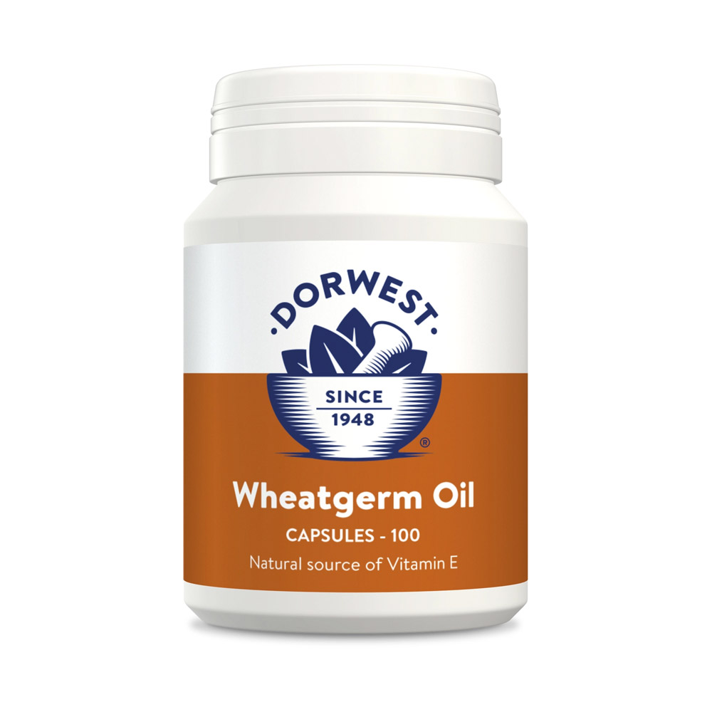 Dorwest Wheatgerm Oil Capsules For Dogs And Cats 100 Capsule-image-2737