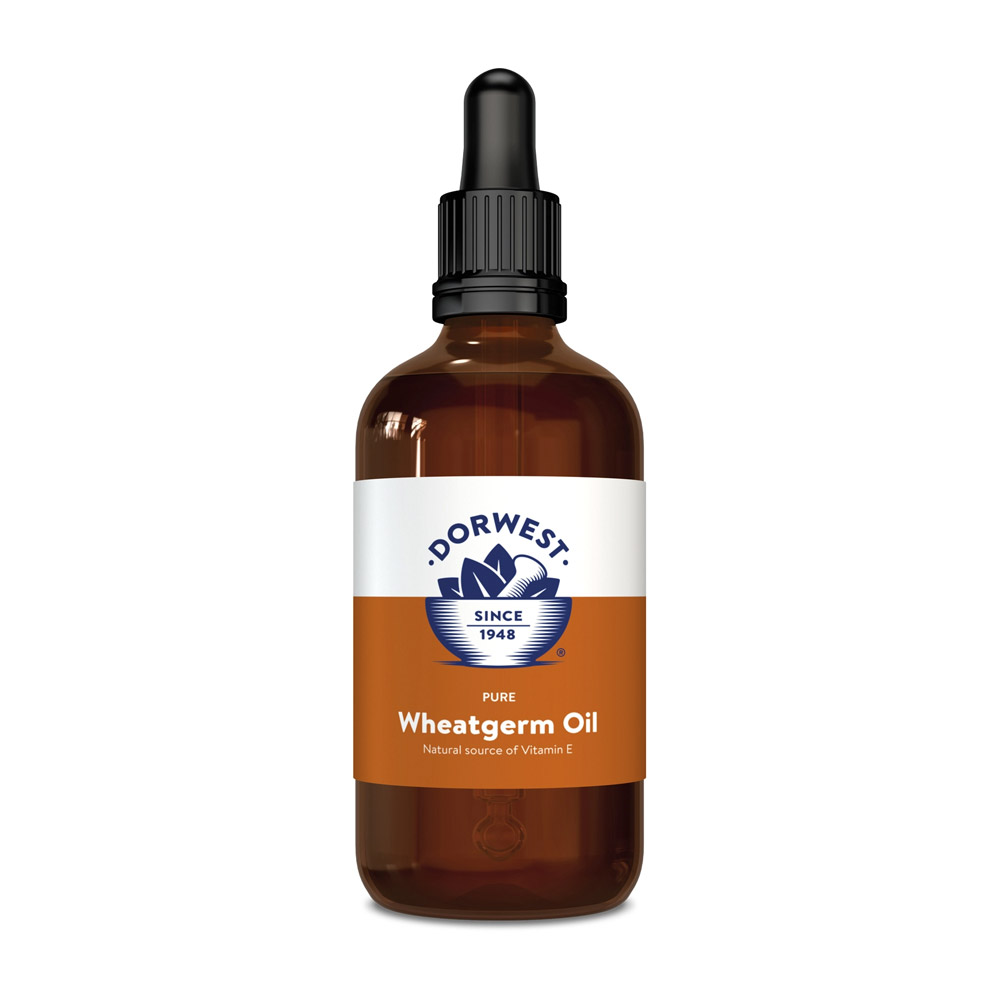 Dorwest Wheatgerm Oil Liquid For Dogs And Cats 100 Ml-image-2738
