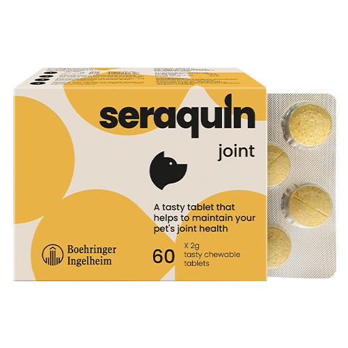 Seraquin For Dogs 2 Gm 60 Tablet-image-974