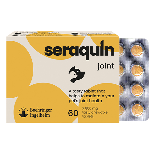 Seraquin For Cats 800 Mg 60 Tablet-image-972