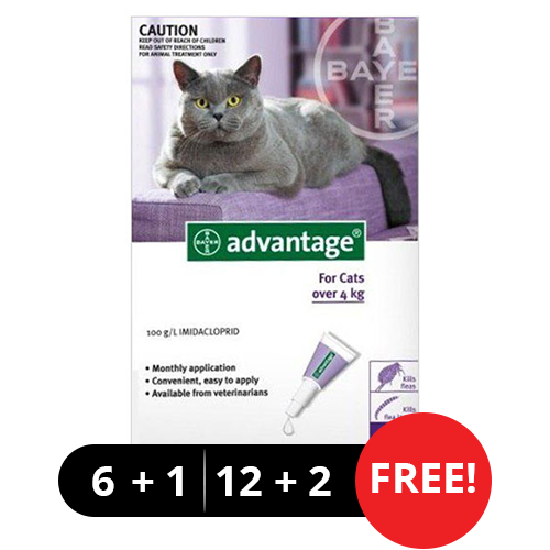 Advantage Cats Over 10lbs (Purple) 12 + 2 Free-image-542