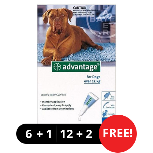 Advantage Extra Large Dogs Over 55 Lbs (Blue) 12 + 2 Free-image-550