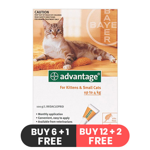 Advantage for Cats Buy Advantage Flea and Tick Treatment For Cats