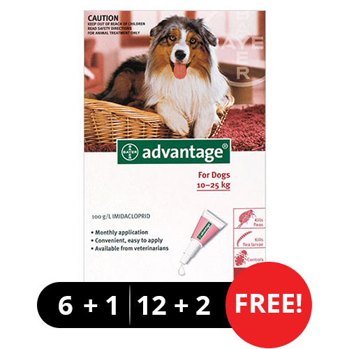 Advantage Large Dogs 21-55lbs (Red) 12 + 2 Free-image-548