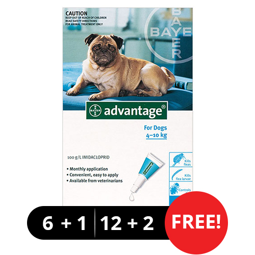 Advantage Medium Dogs 11-20lbs (Aqua) 6 + 1 Free-image-545