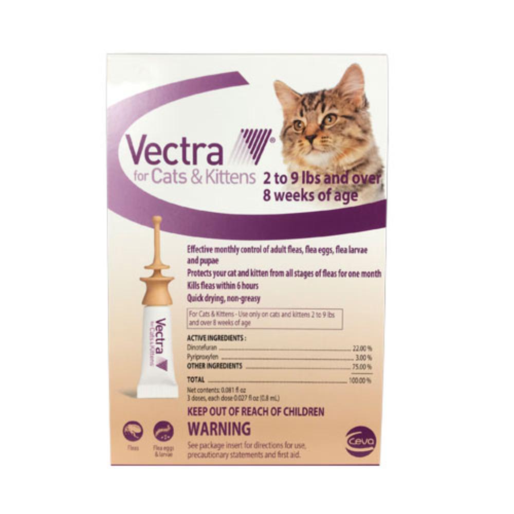 Vet Express Care